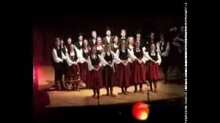 SKUD VIDOVDAN LJUBLJANA