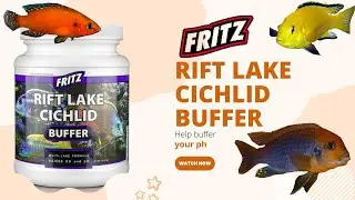 Fritz Rift Lake Cichlid Buffer: The Perfect Solution for Your Cichlid's Water Chemistry!