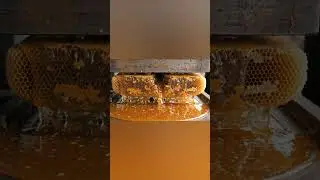 Hydraulic Press vs Honeycomb 🍯 | Most Satisfying Honey Flow Ever!