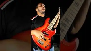 4 Tipos de Baixistas que tocam na Igreja
