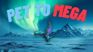 Wizard101: Pet-to-Mega 