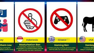 🌍 50 Weird Laws In The World | दुनिया के अजीब कानून #Facts #WeirdLaws #therankhouse