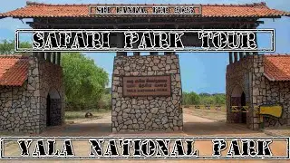 Yala National Park Tour, Sri Lanka, Feb 2025. ELEPHANTS!! Safari Park.