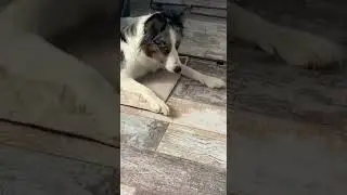 Досада с печалькой! Личная трагедия...Annoyance with sadness! A personal tragedy...