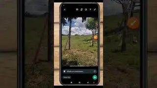 como enviar fotos y videos por Whatsapp en HD  