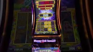 Bonus on the money link paid pretty well! #casino #slots #bonus #midwestslots #gambling