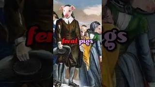 The Fascinating Island with Swimming Pigs #interestingfacts #animals #shorts #funny