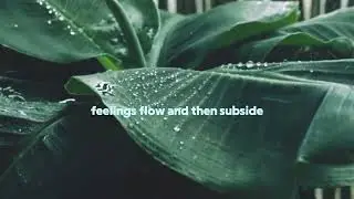 Easy listening music, mood booster : Rain Holds a Story