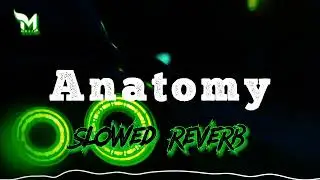 NextRO - Anatomy (Original Mix)