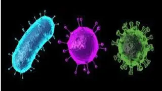 Virus Starts Killing Only The Rich I $#film #filmora #movie #movierecap