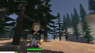 New Animations and Boss Hunt Test - DevLog #2 - NinjaFantasy