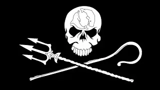 Sea Shepherd Germany, Geomar, Marine Meadows, Zostera marina #seashepherd #germany #balticsea