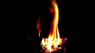 Gentle Fire Flames with Peaceful Sounds for Better Sleep