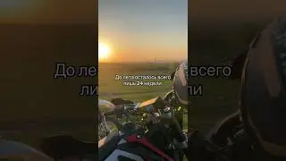 Всего 24 недели