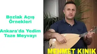 Mehmet KINIK - Uzun Hava(Bozlak) Açış (Ankara'da Yedim Taze Meyvayı)