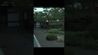 Japan&rsquo;s Most Peaceful Place? 🌿 Ancient Zen Temple Walk