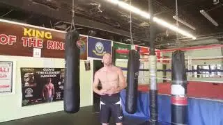 ELITE MMA SHORTS