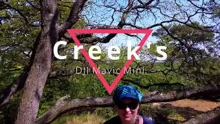 The Eifel-Dandelion - April 2020  -  1080p -  Davinic  - Mavic Mini footage