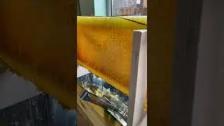 Honey 🍯 extraction, flow hive frame.