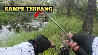 SPOT TERATAI INI TERNYATA BANYAK GABUSNYA ‼️CASTING IKAN GABUS
