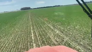 Winter Wheat - 28 (nitrogen)