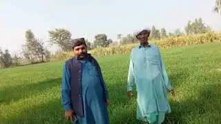 Wheat Production Technology part -1