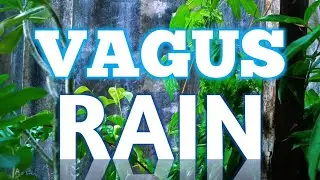 Soothing Vagus Nerve Rain | Cortisol Flushing Noise | ASMR SLEEP | Sleep, Focus & Tinnitus Relief