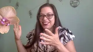 LESSON 5 INTRO: COLORIN' CUBOIDS