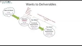 Organizational Wants to Project Deliverables: the Process