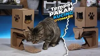 Tempat Makan Kucing Otomatis
