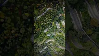 Yercaud hill station| yercaud drone shot| places to visit in yercaud#shorts #ytshorts #travelbeatz