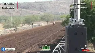 El Pitacio Cda La Wera vs La Bandida Cda Encinas 25/01/26 en HH