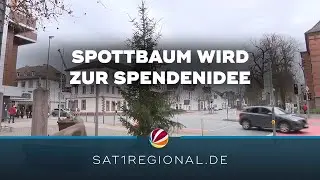 &bdquo;Armselig&ldquo;: Fichte in Holzminden sorgt f&uuml;r Spott im Netz &ndash; und f&uuml;r Spendenaktion