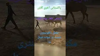 qilla moj Garh | last village of Pakistan| cholistan desert| visit desert area