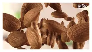 Importaco and Dcoop sign a strategic alliance for the trading of Mediterranean almonds