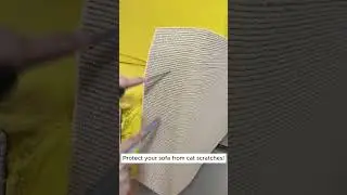 No More Scratched Furniture! Cat-Proof Your Couch Today