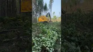 Tigercat 855C With LogMax 7000 1/2