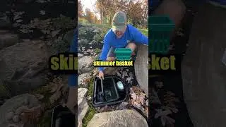Why you NEED a Skimmer Filter for an Ecosystem Pond 💦💦