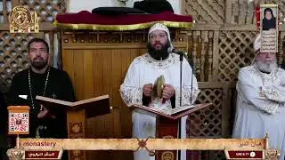 أنتم الآن على الهواء مباشرةً | قداس عيد نياحة القديس العظيم الأنبا انطونيوس الكبير| فكونوا معنا