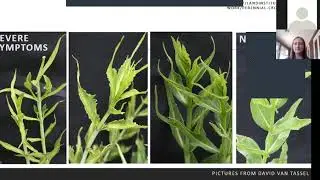 The Land Institute: Kathryn Turner Lunch & Learn