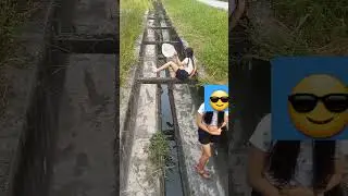 catching guppy fish at drain #ilovesingapore #shorts
