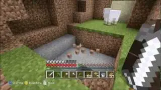 Animal Farm Disaster!!!