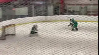 Brick's Kevin Toye makes a glove save