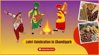 🔥 Lohri Celebration in Chandigarh | Lohri Events in Chandigarh💃