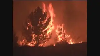 42 focos activos por incendios forestales