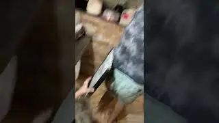 Ceiling Collapse During Heavy Rainstorm