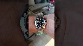 Squale 30atmos GMT. #watchfam #watches #shorts #beautiful #watchcollection #watchtime #rolex