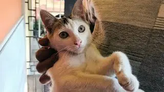Our Loving 