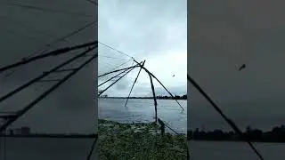 🐟 CHINESE FISHING NET IN ACTION🐟