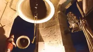 Toque de pino en la basílica de Zapopan